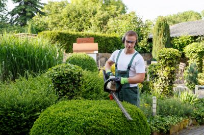 shrub trimming